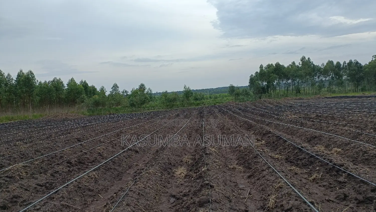 Irrigation and Plumbing Services