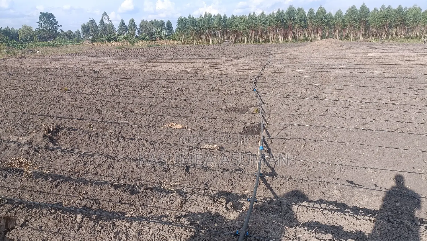 Irrigation and Plumbing Services