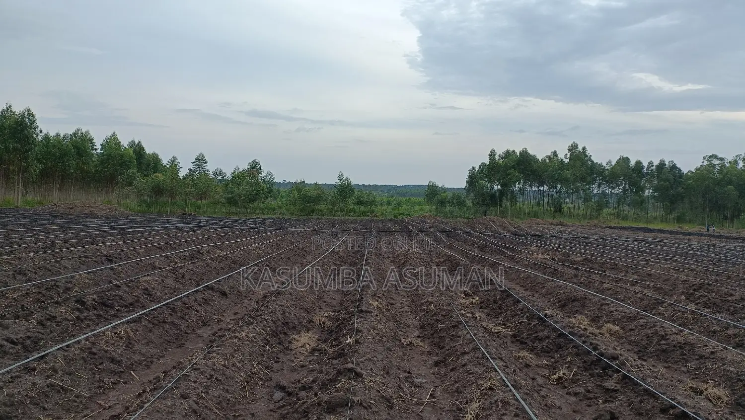 Irrigation and Plumbing Services