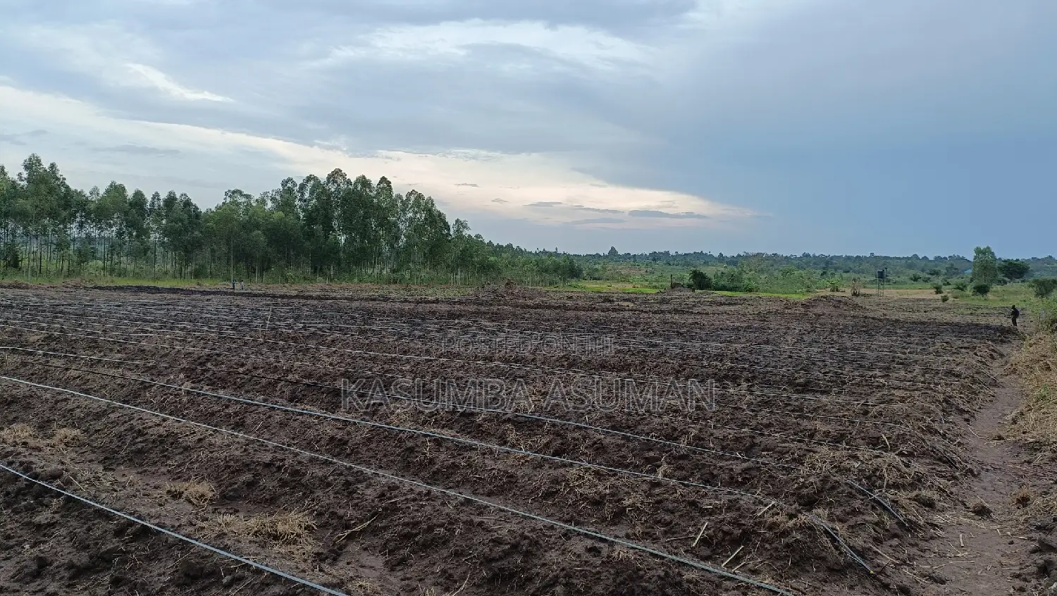Irrigation and Plumbing Services