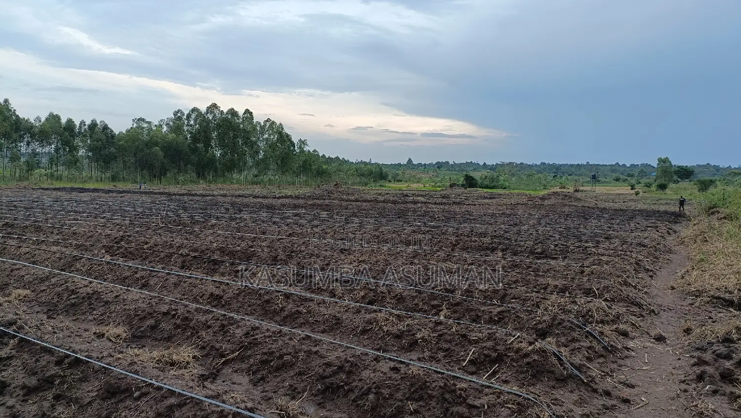 Irrigation and Plumbing Services