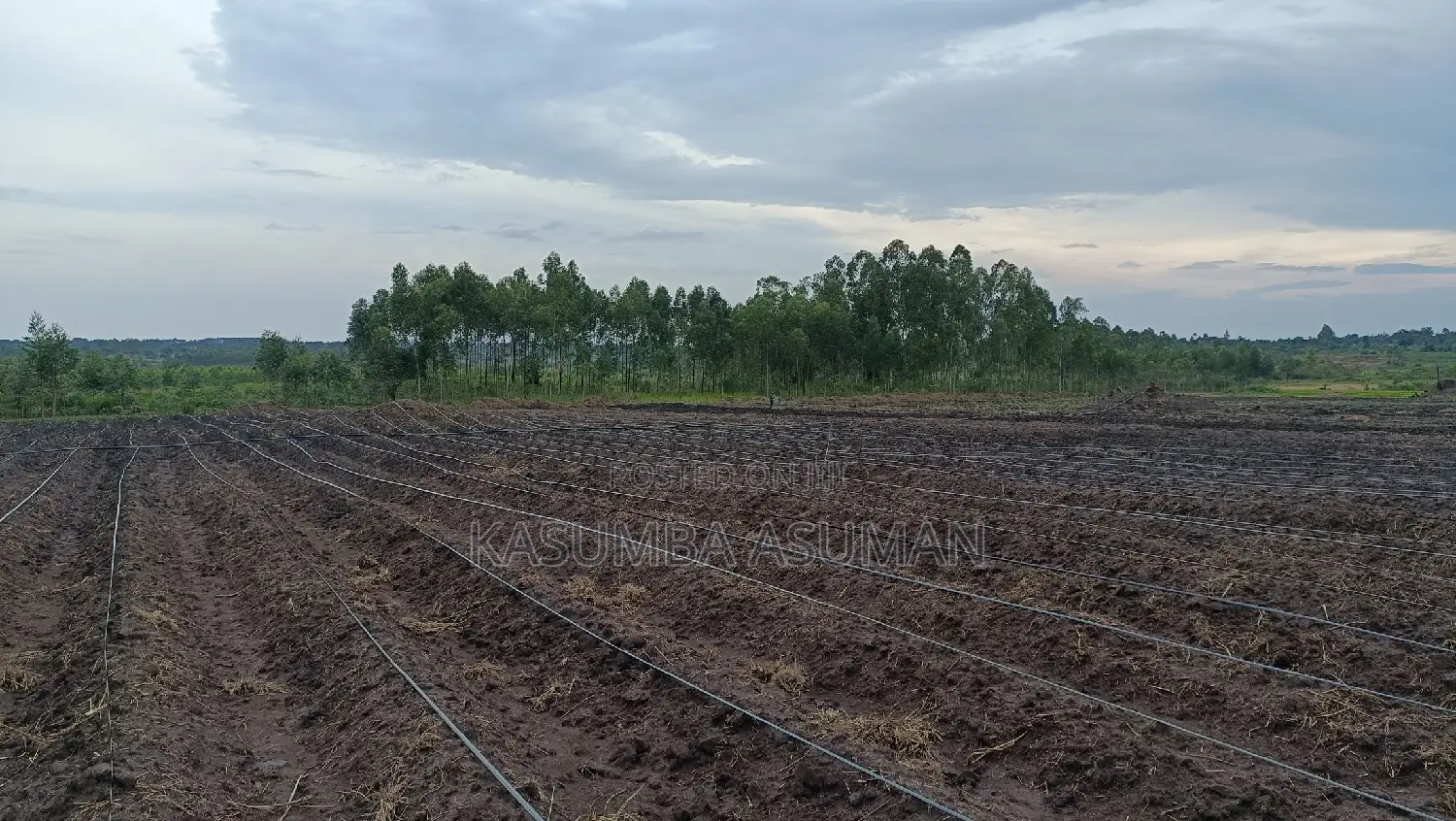Irrigation and Plumbing Services