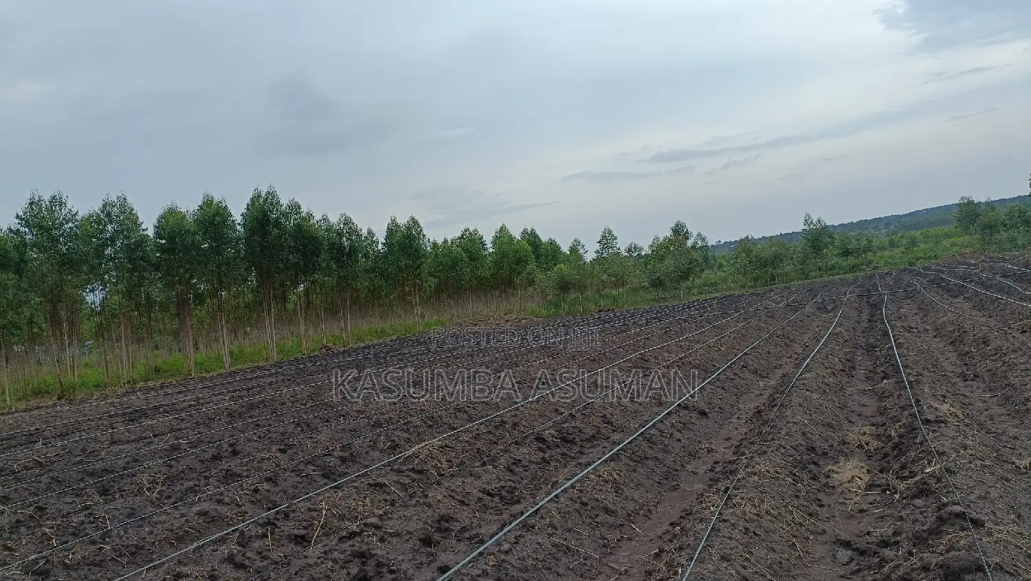 Irrigation and Plumbing Services