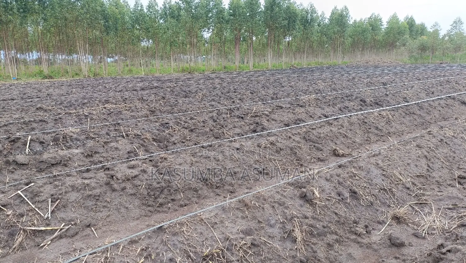 Irrigation and Plumbing Services