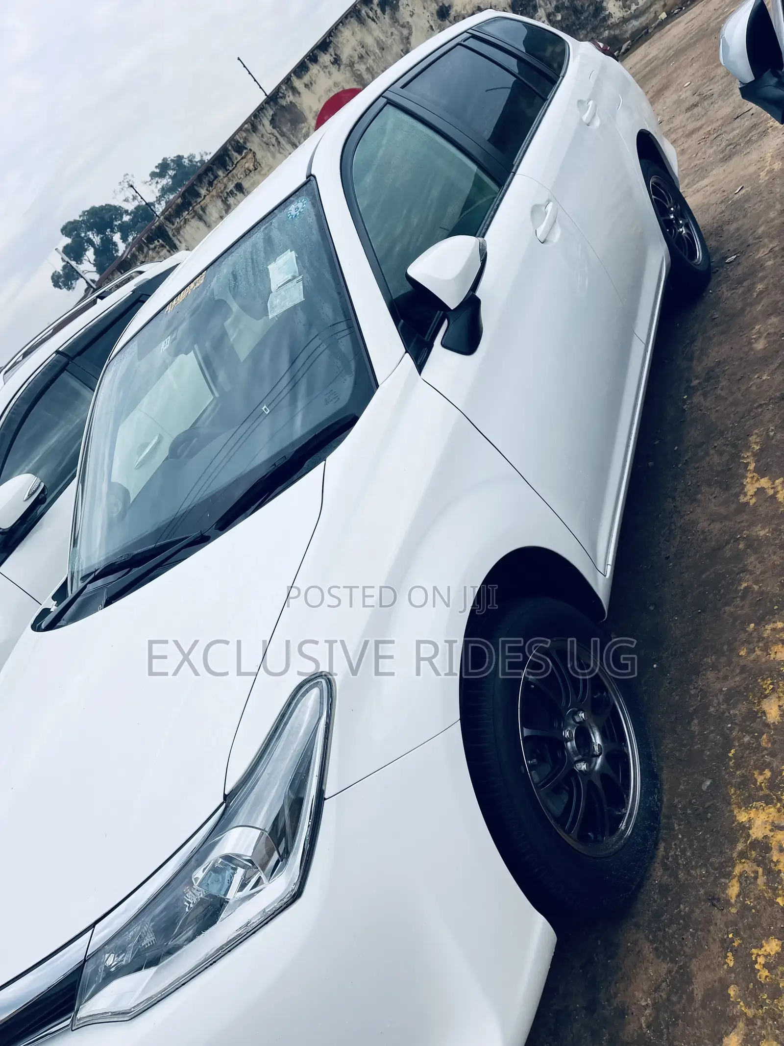 Toyota Corolla Fielder 2016 White