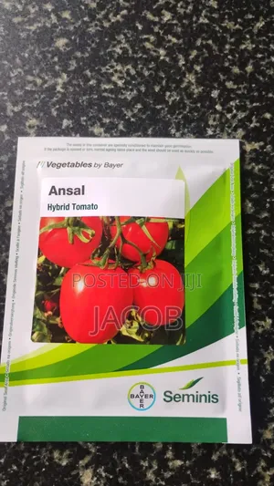 Ansal F1 Tomato 3500 Seeds From Bayer India