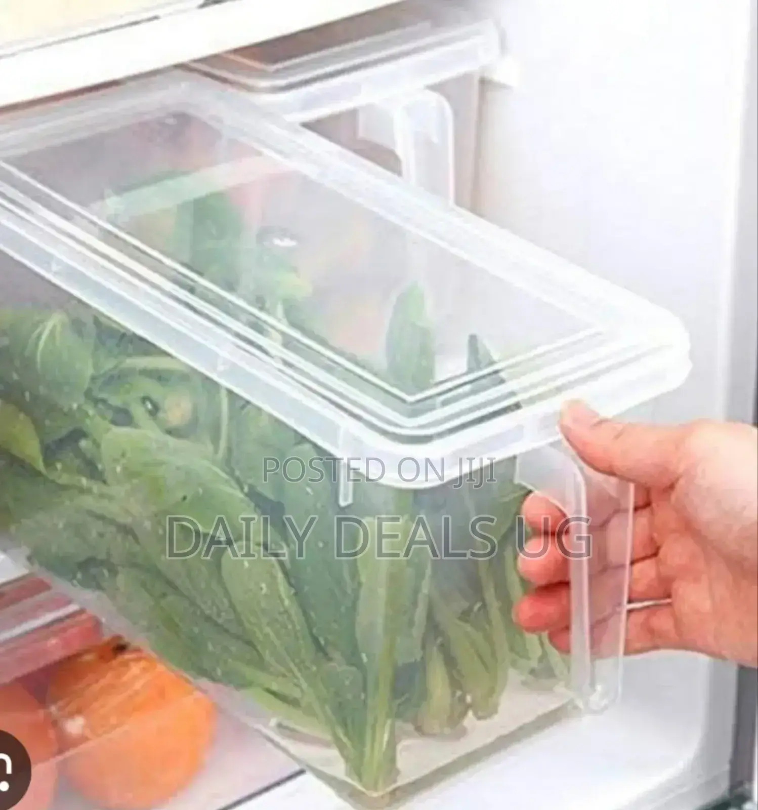 Plastic Fridge Storage Containers Set