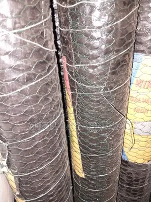 Chicken Mesh Green