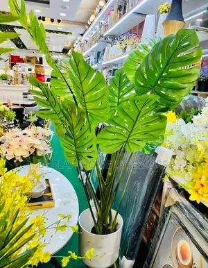 Quality Plants