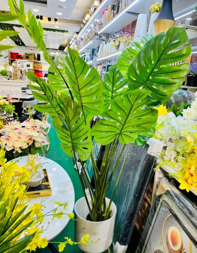 Quality Plants
