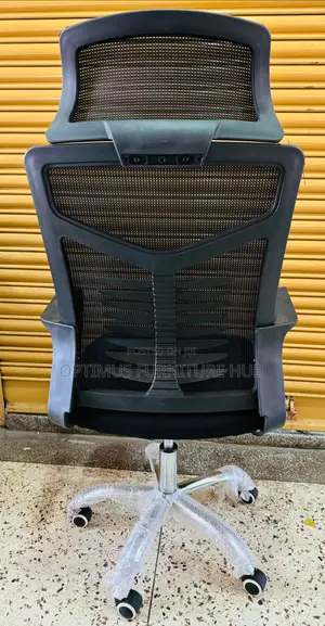 Spine Office Chair