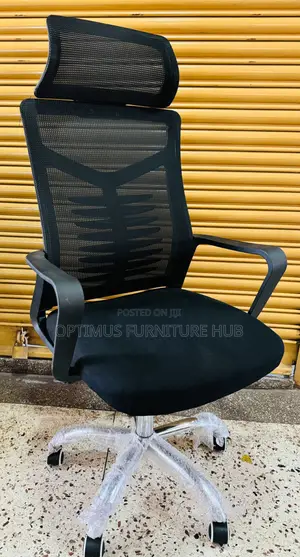 Spine Office Chair