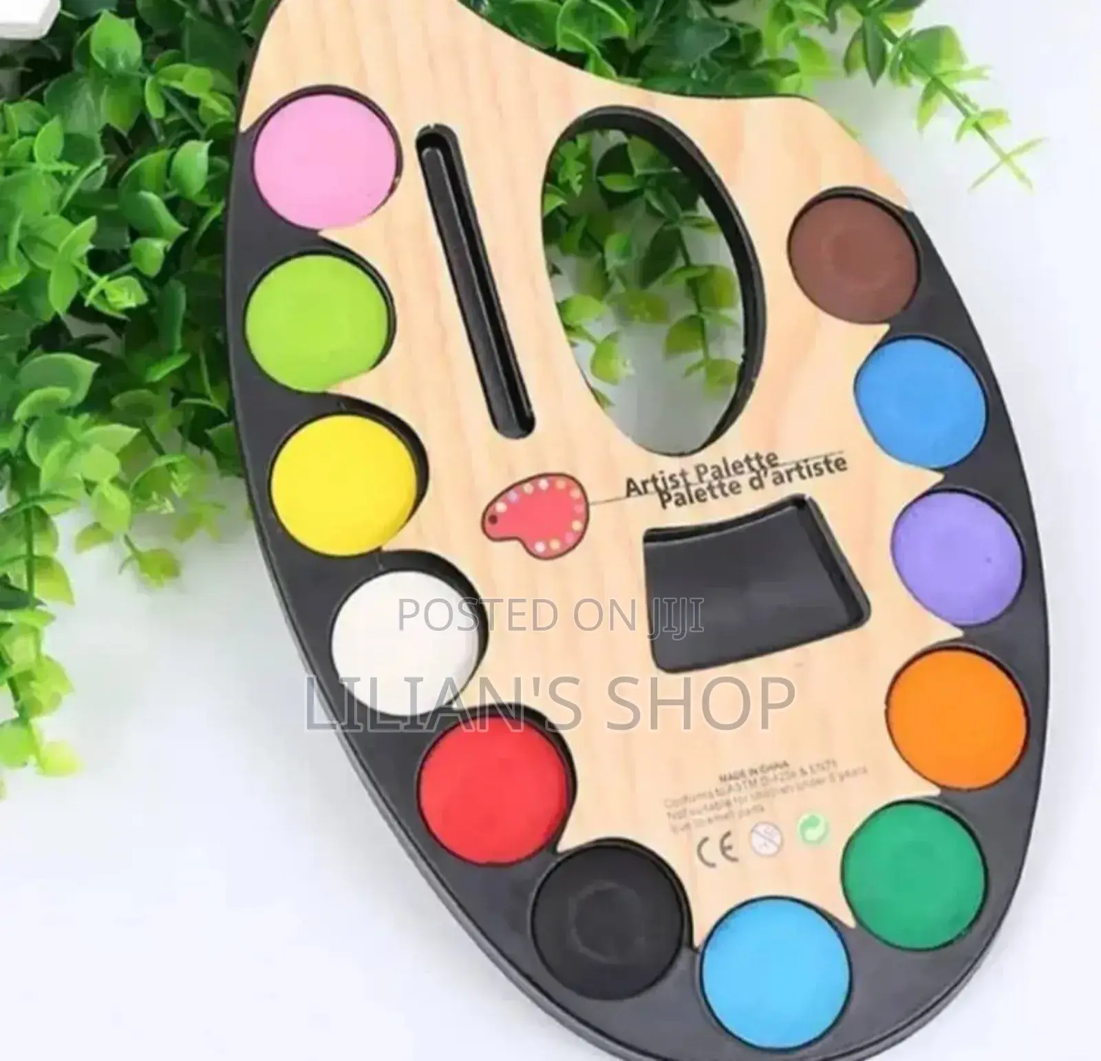 Large Artistic Palette With 12 Water Colour and Paint Brush