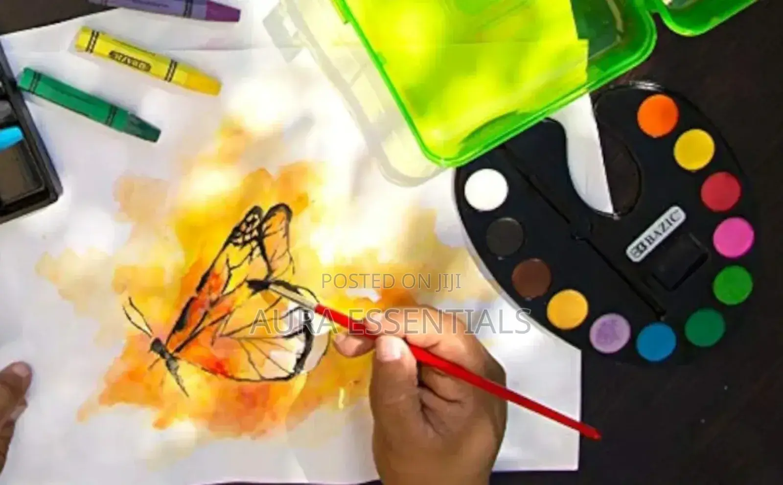 Artist Water Color Paint