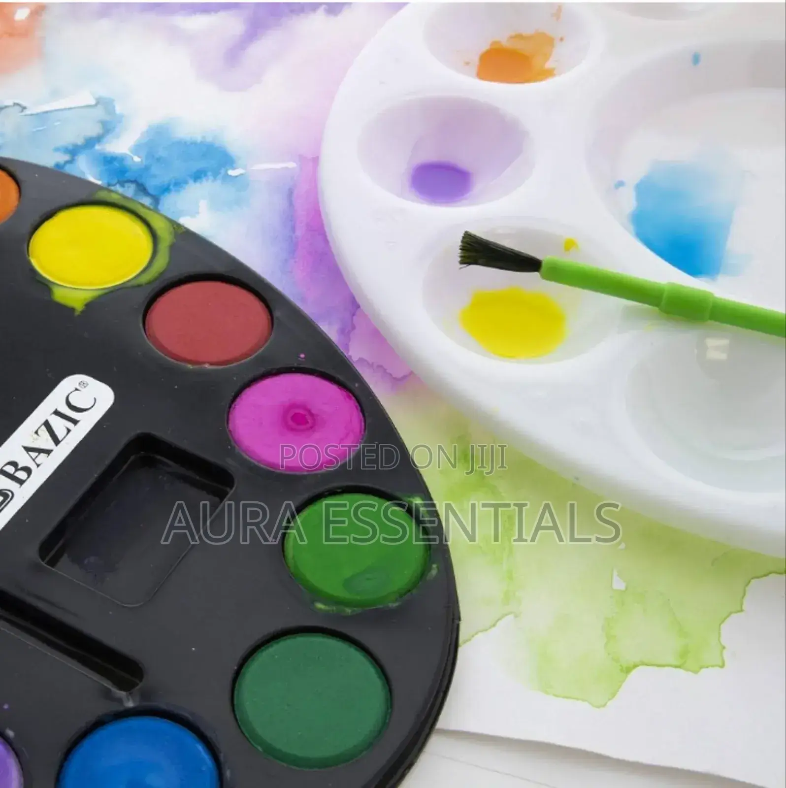 Artist Water Color Paint