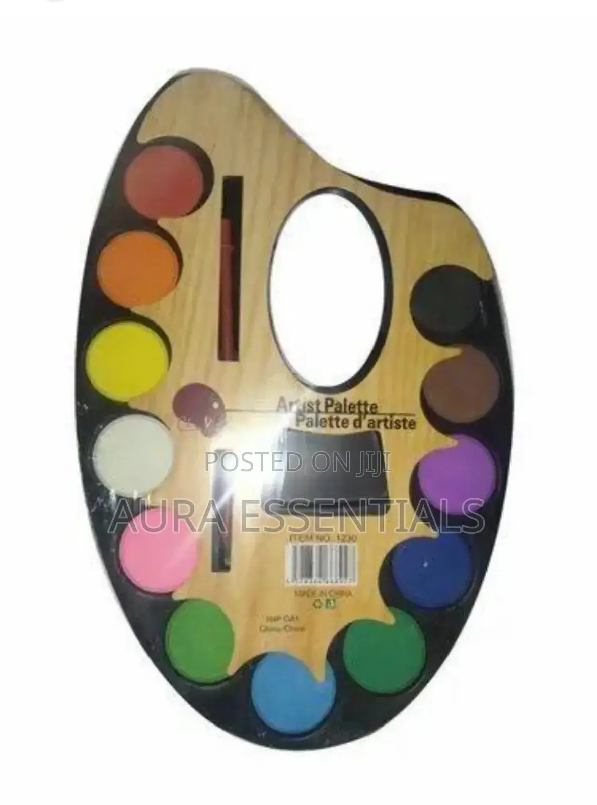 Artist Water Color Paint