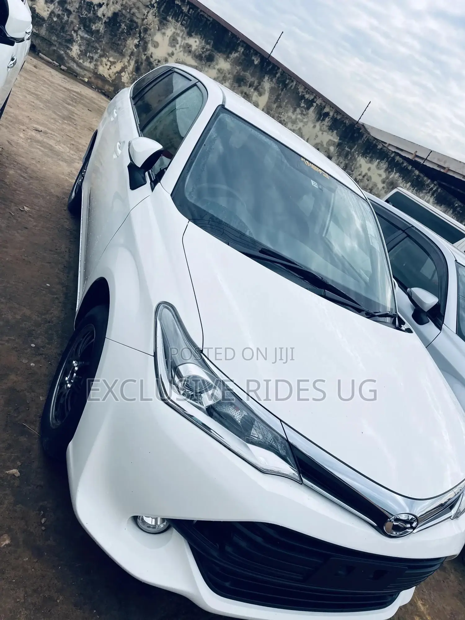 Toyota Corolla Fielder 2016 White