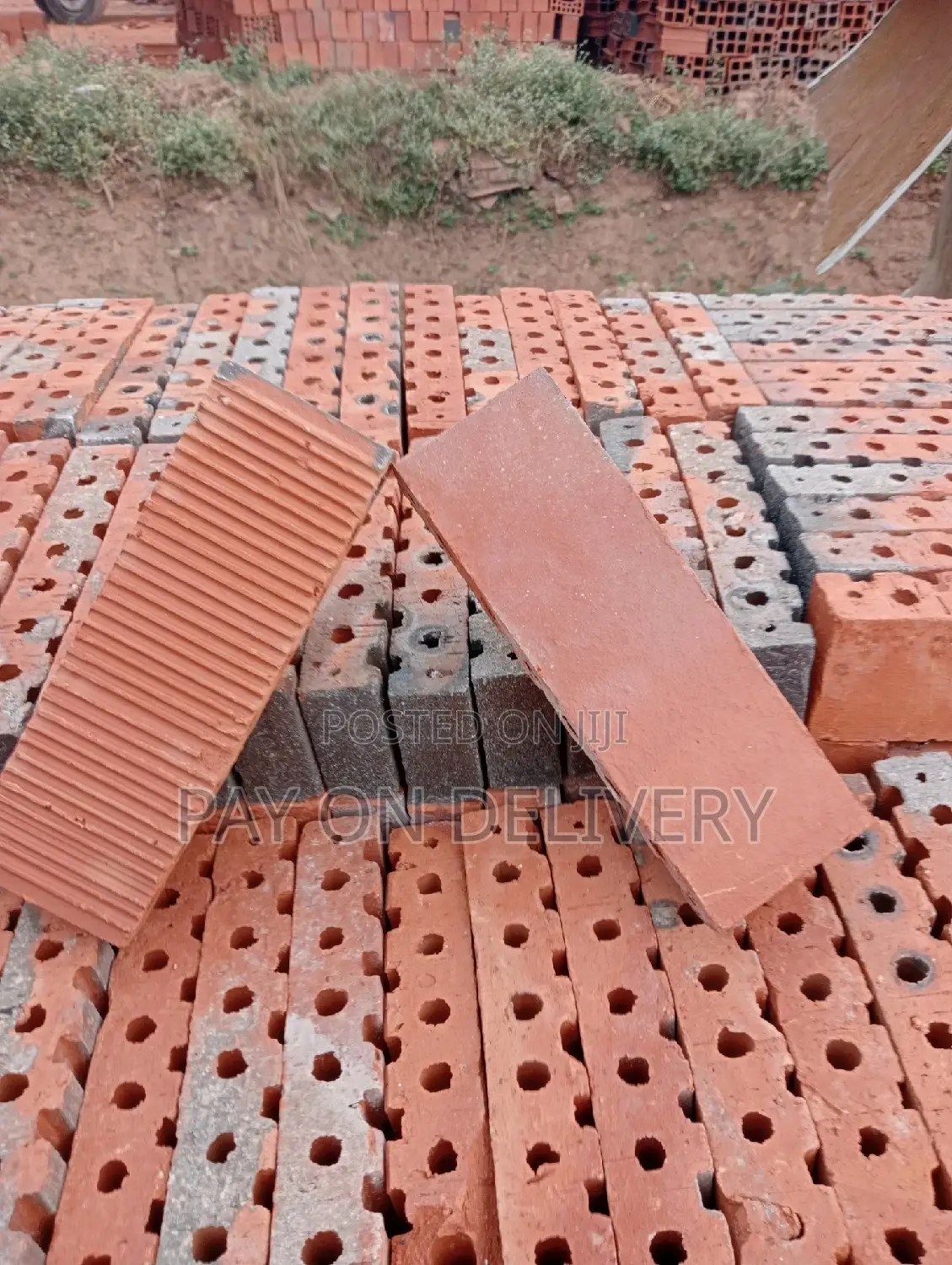 Your Choice (Half Bricks)