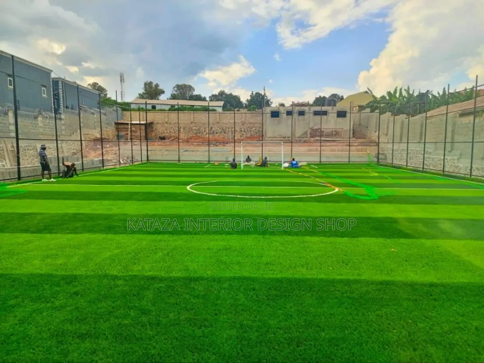 Field Grass Carpet Grass Carpet