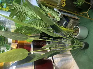 Quality Plants Per Each