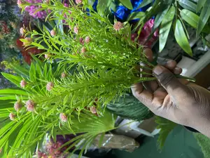 Quality Artificial Plants