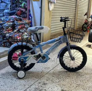 Kids Metallic Bicycles