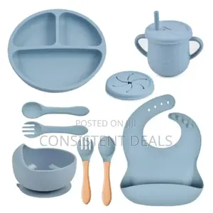 Baby Silicone Feeder Set