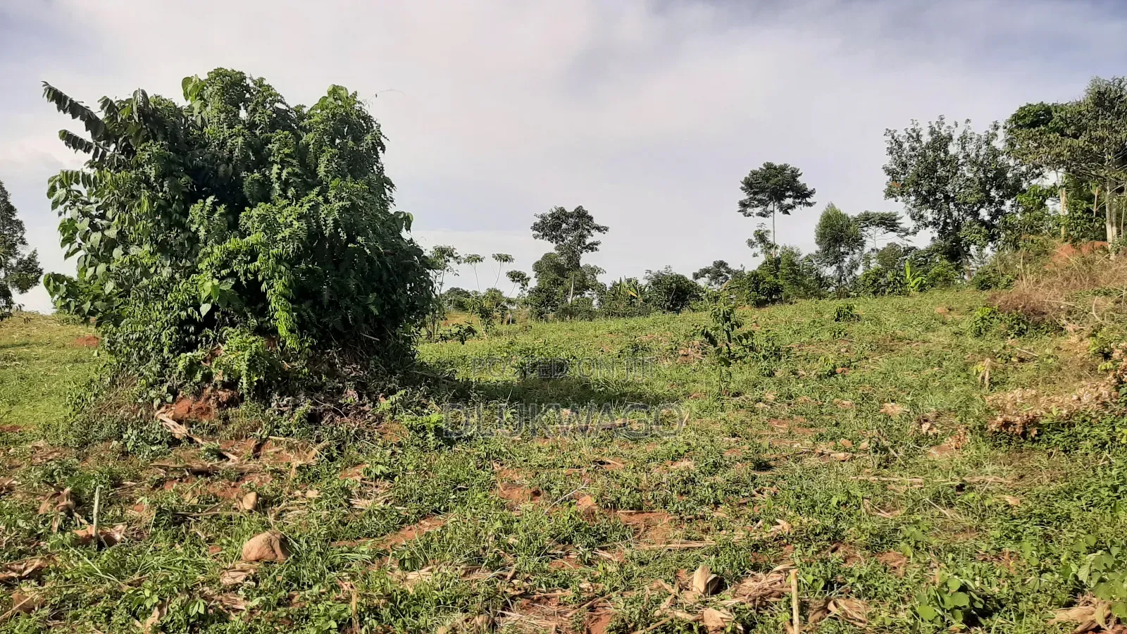 4.5 Acres of Land for Sale in Namukono Nkokonjeru Buikwe