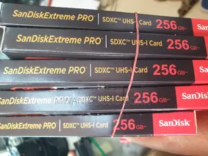 San Disk Extreme PRO