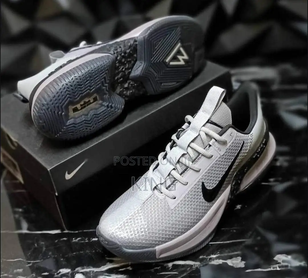 Lebron Ambassador Gray Black Actual Shoes