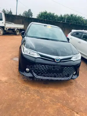 Photo - Toyota Corolla Fielder 2015 Black