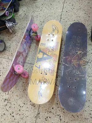 Adult Skateboard
