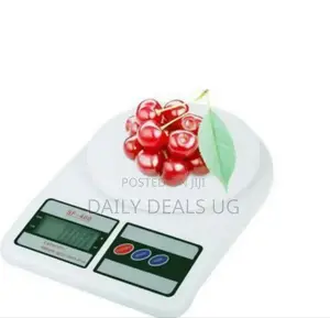 Digital Kitchen Scale