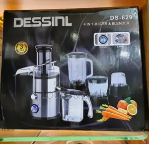 4 in 1 Dessinl Juicer/Blender