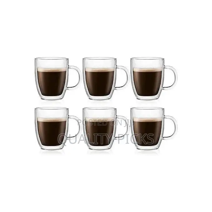 6 Piece Double Wall Glass Coffee Mugs Set With Handle