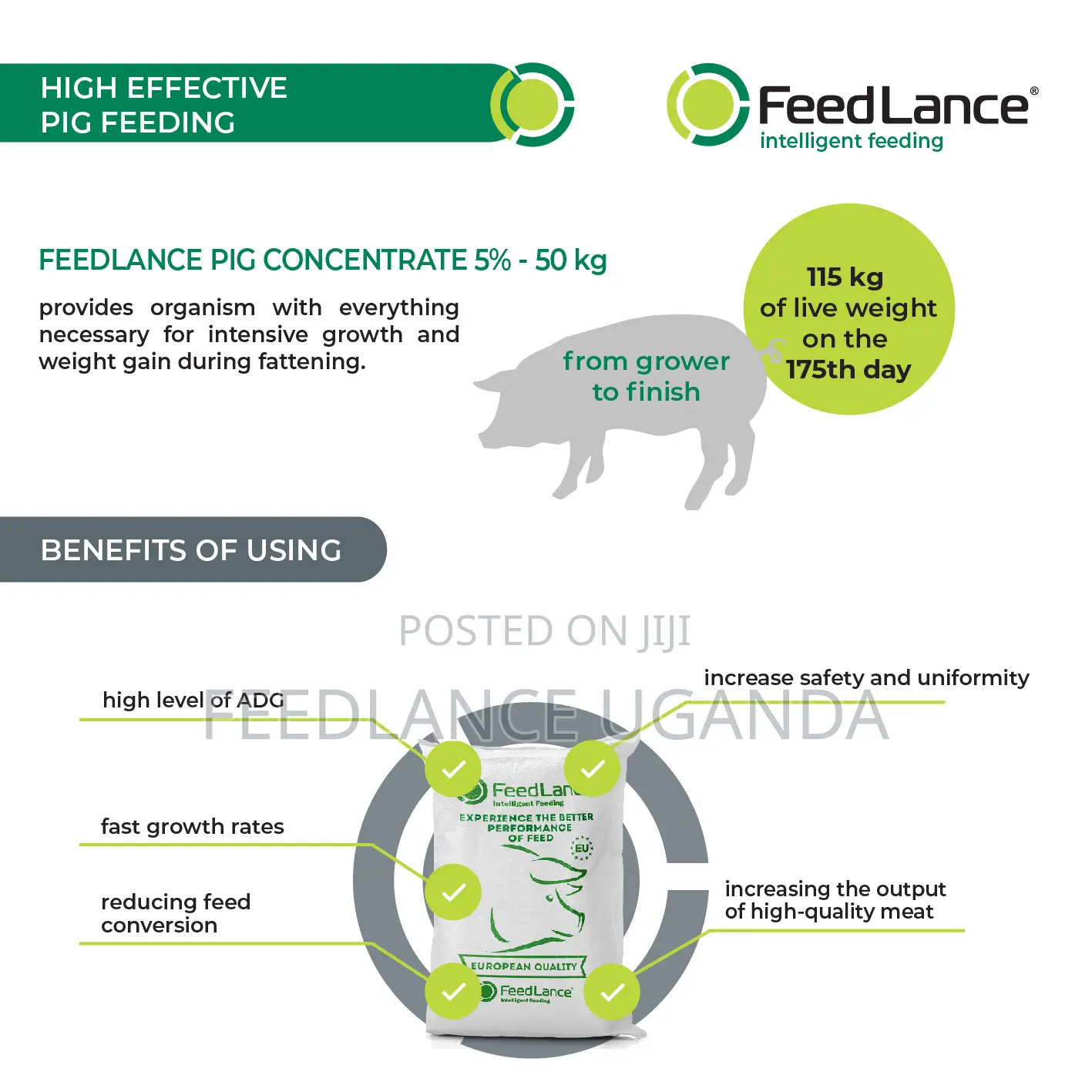 Feedlance Pig Concentrate 5% - For Fattening Pigs