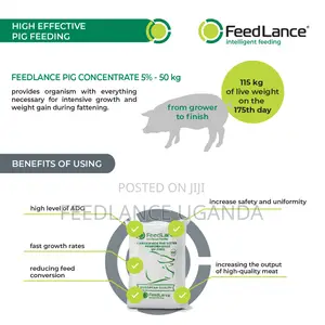 Feedlance Pig Concentrate 5% - For Fattening Pigs