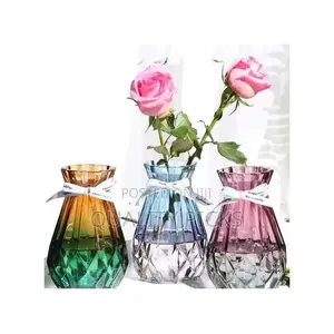 Transparent Glass Flower Vase Living Dining Room Decoration