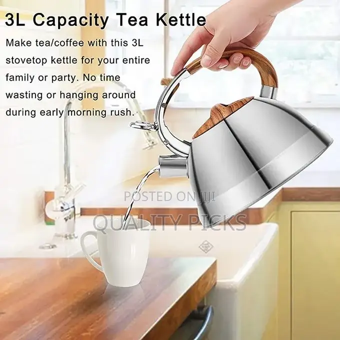 Kaisa Villa 3L Stovetop Teapot Stainless Steel Tea Kettle-