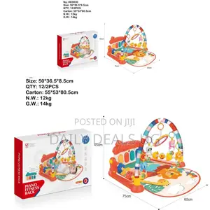 Baby Play Gym