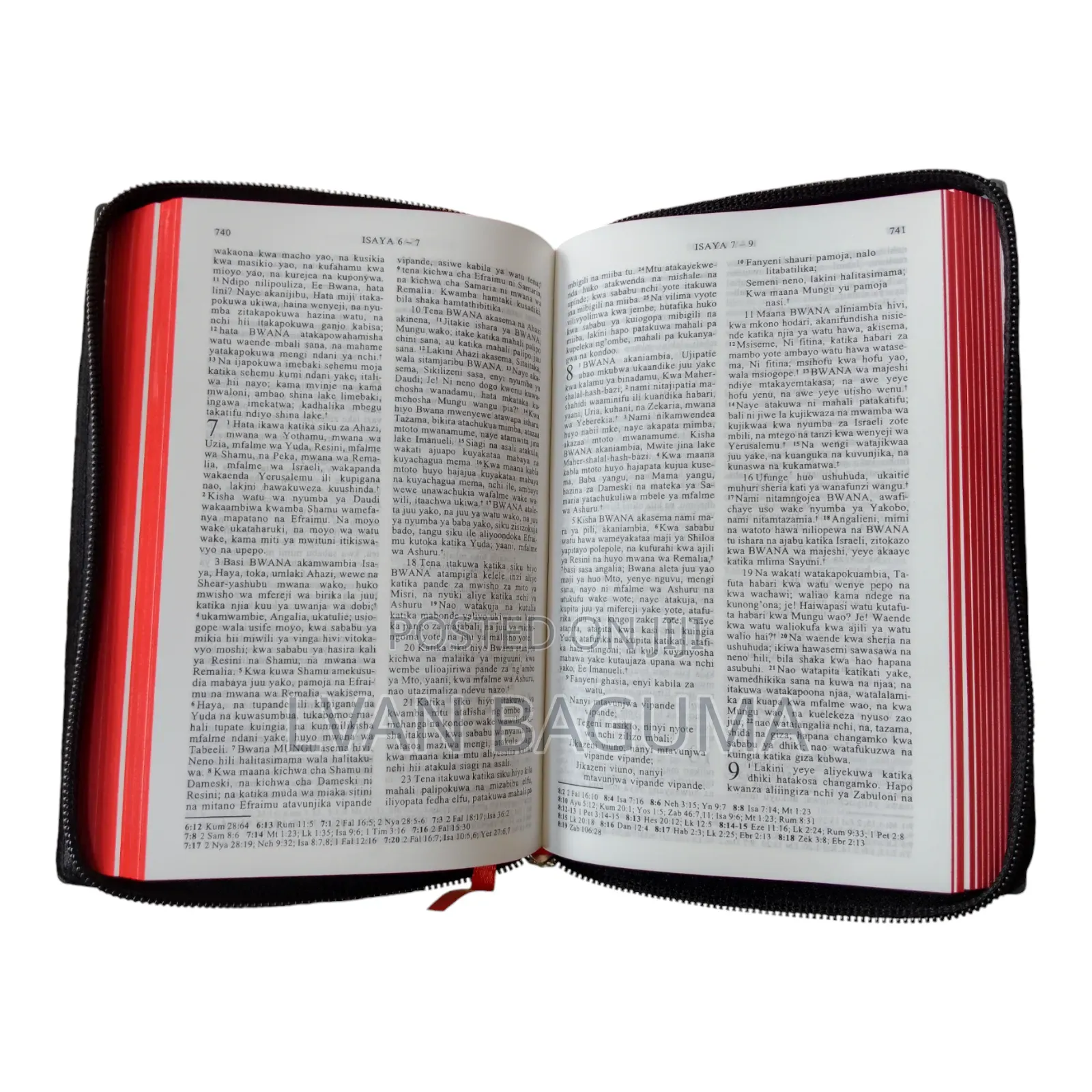 Swahili Bible