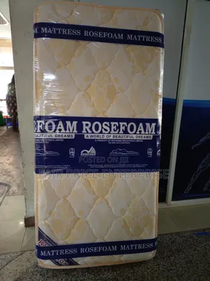 Spring Mattress Double Layers 5x6x10 Inches Rosefoam