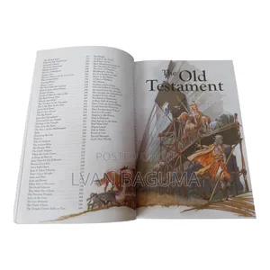 The Devotional Children's Bible - Bible Stories