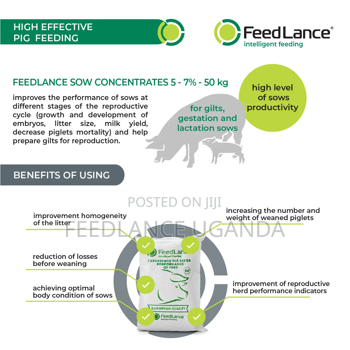 FEEDLANCE SOW CONCENTRATES 5-7% - Concentrate for SOWS