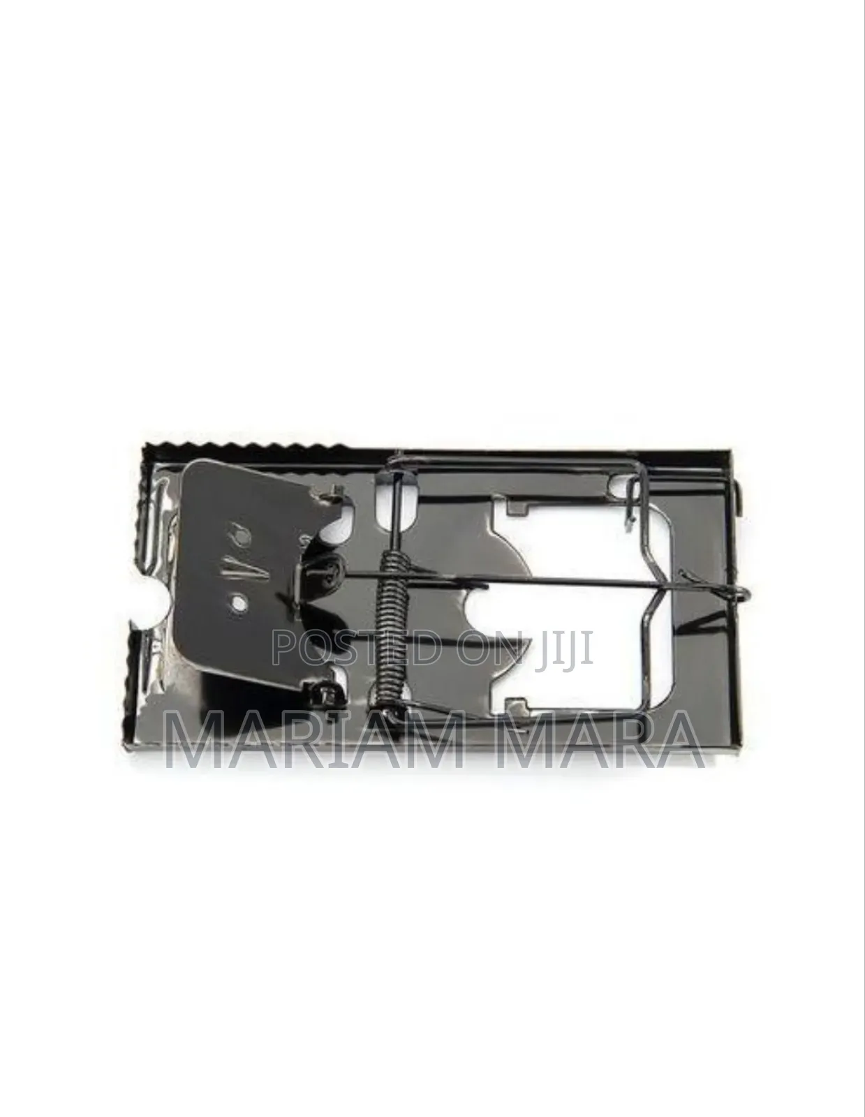Rat/Mouse Trap