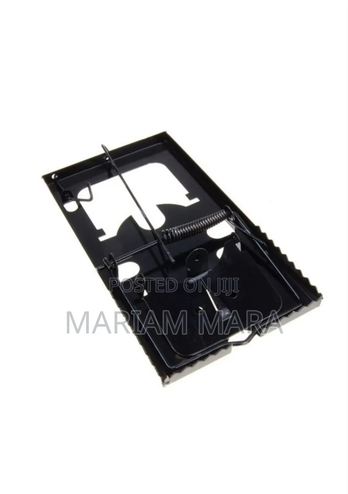 Rat/Mouse Trap