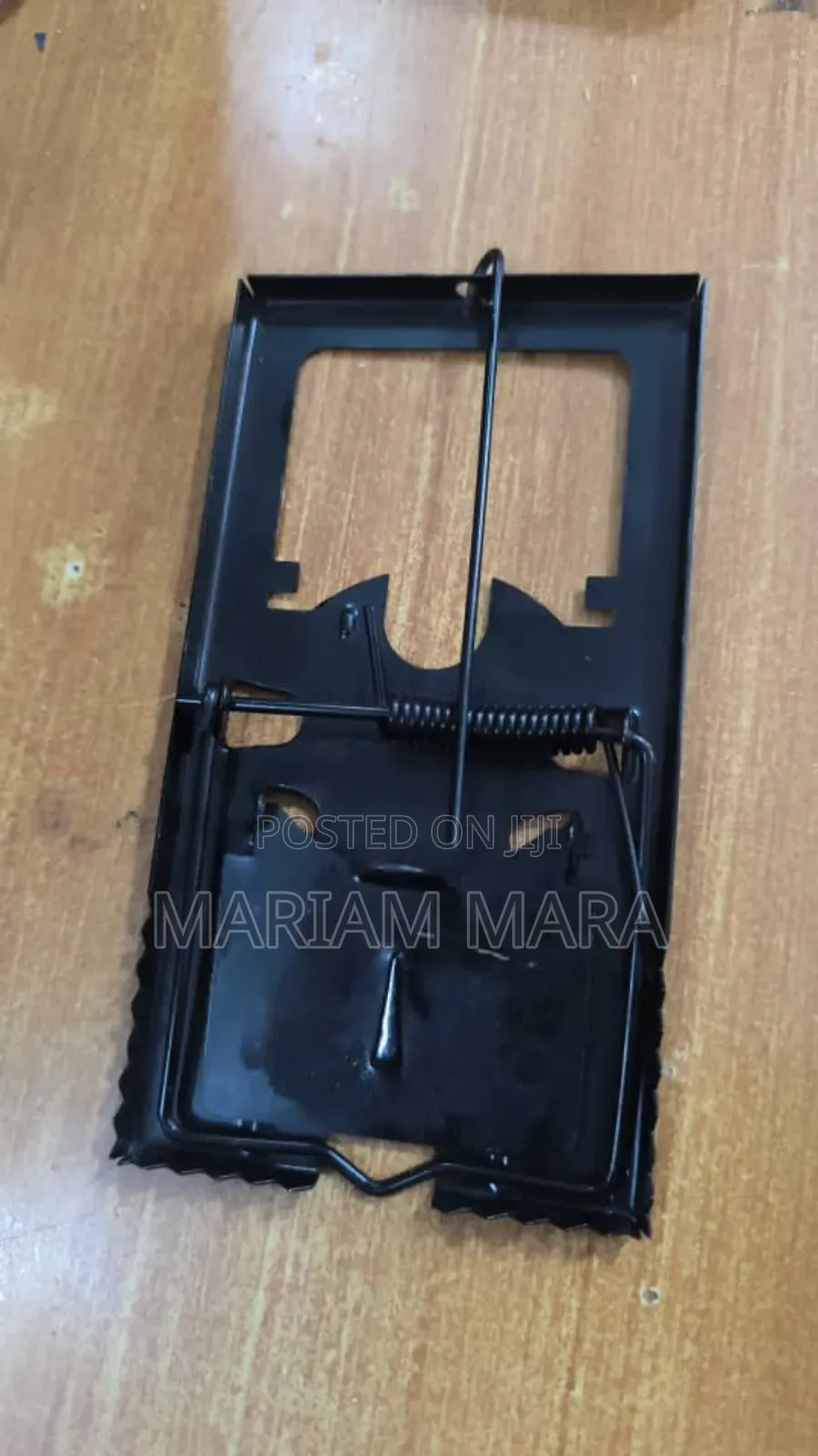 Rat/Mouse Trap