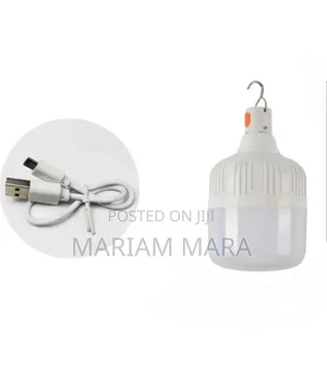 Dp Usb Rechargeable Bulb 40W