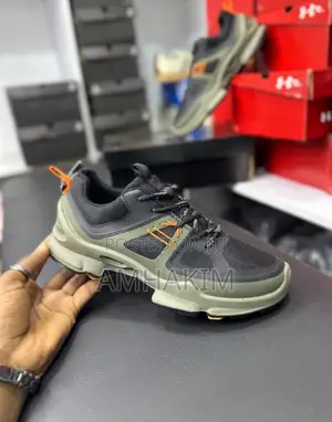 Classic Ecco Sneakers Hikings in Stock