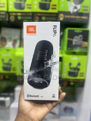 Flip 6 JBL